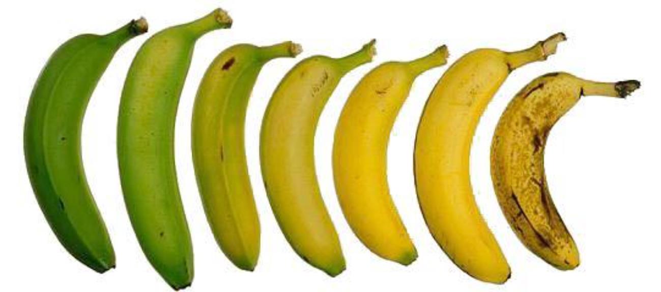 香蕉怎么挑选才好吃？
