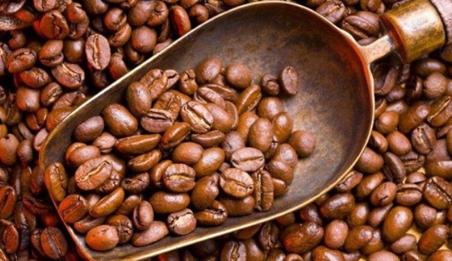 咖啡豆的品种有哪些？