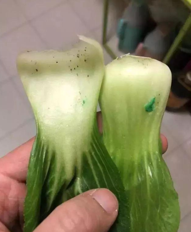 青菜上蓝色或绿色颗粒是什么东西？有毒吗？