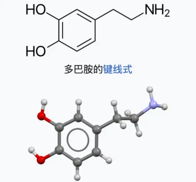 多巴胺分子的化学键是怎样的？